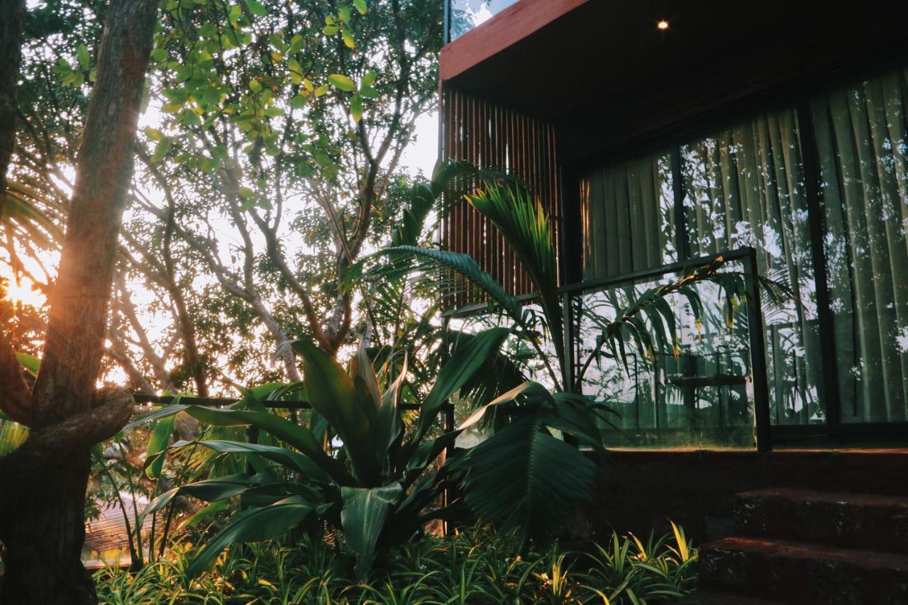 Amazonika Boutique Resort Arpora Exteriér fotografie