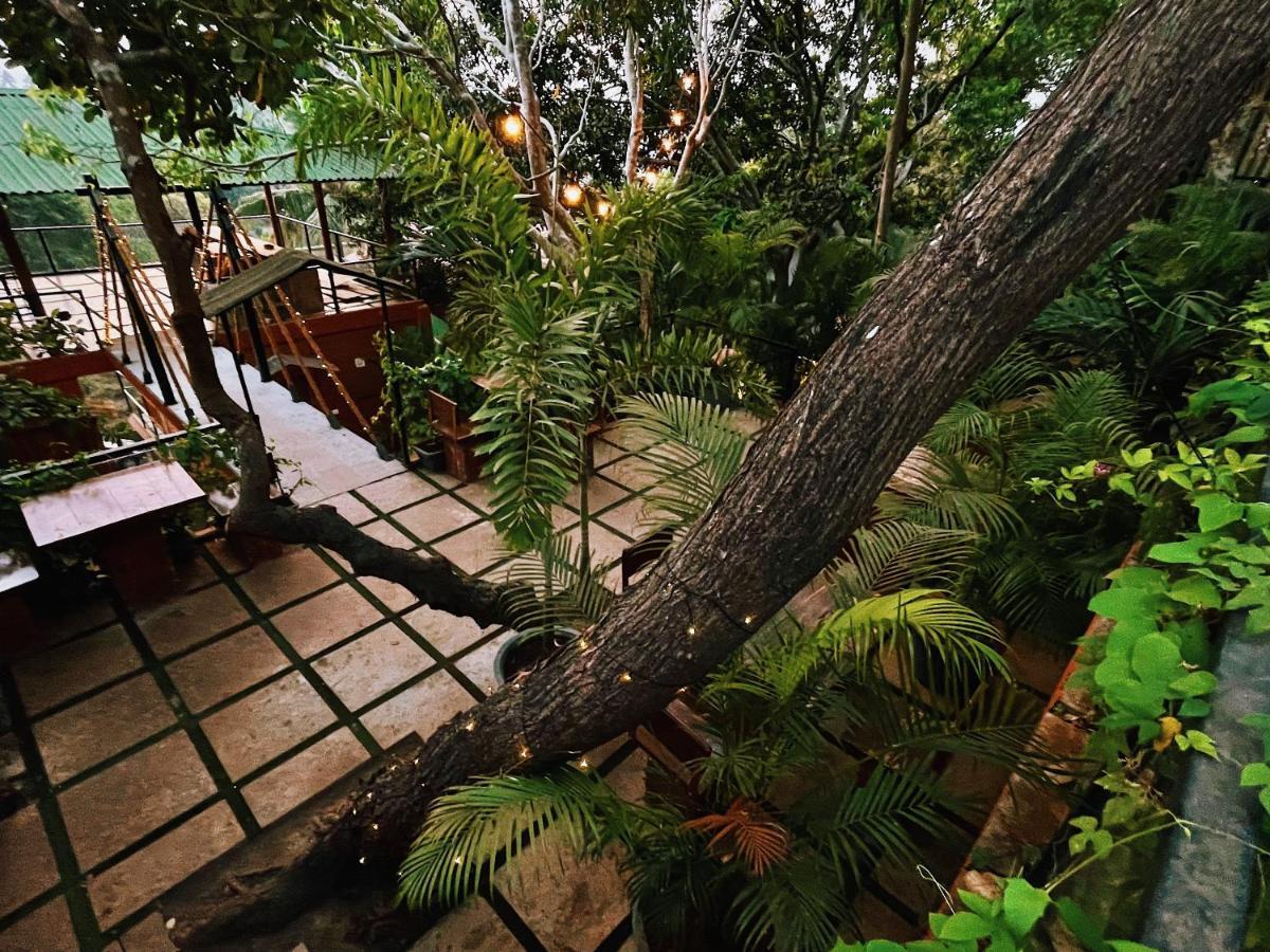 Amazonika Boutique Resort Arpora Exteriér fotografie